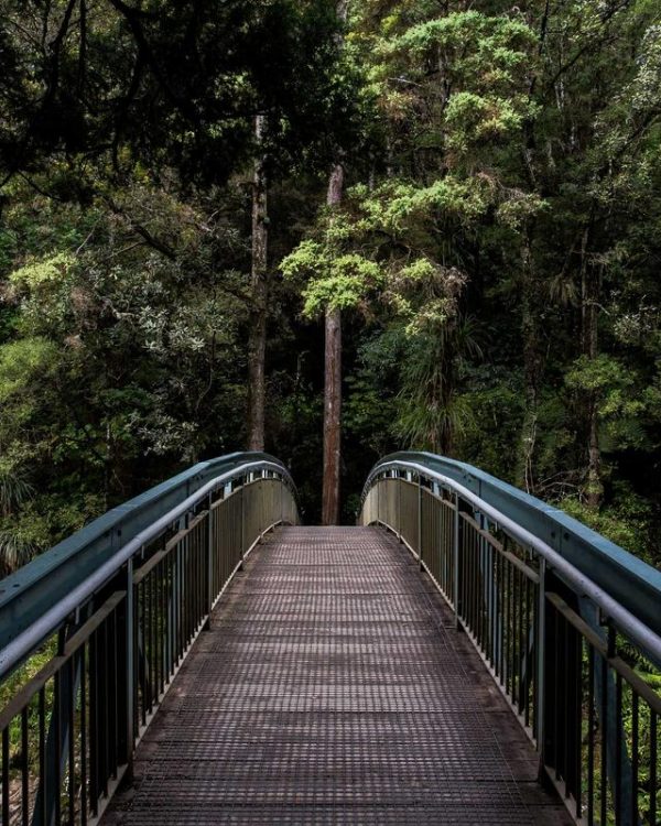 Revolution Trucker Hat