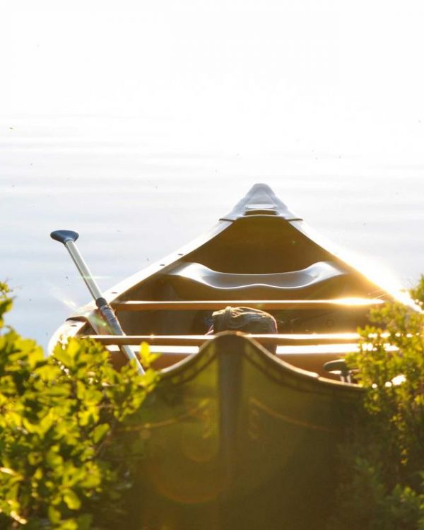 Revolution Snapback — Royal Blue